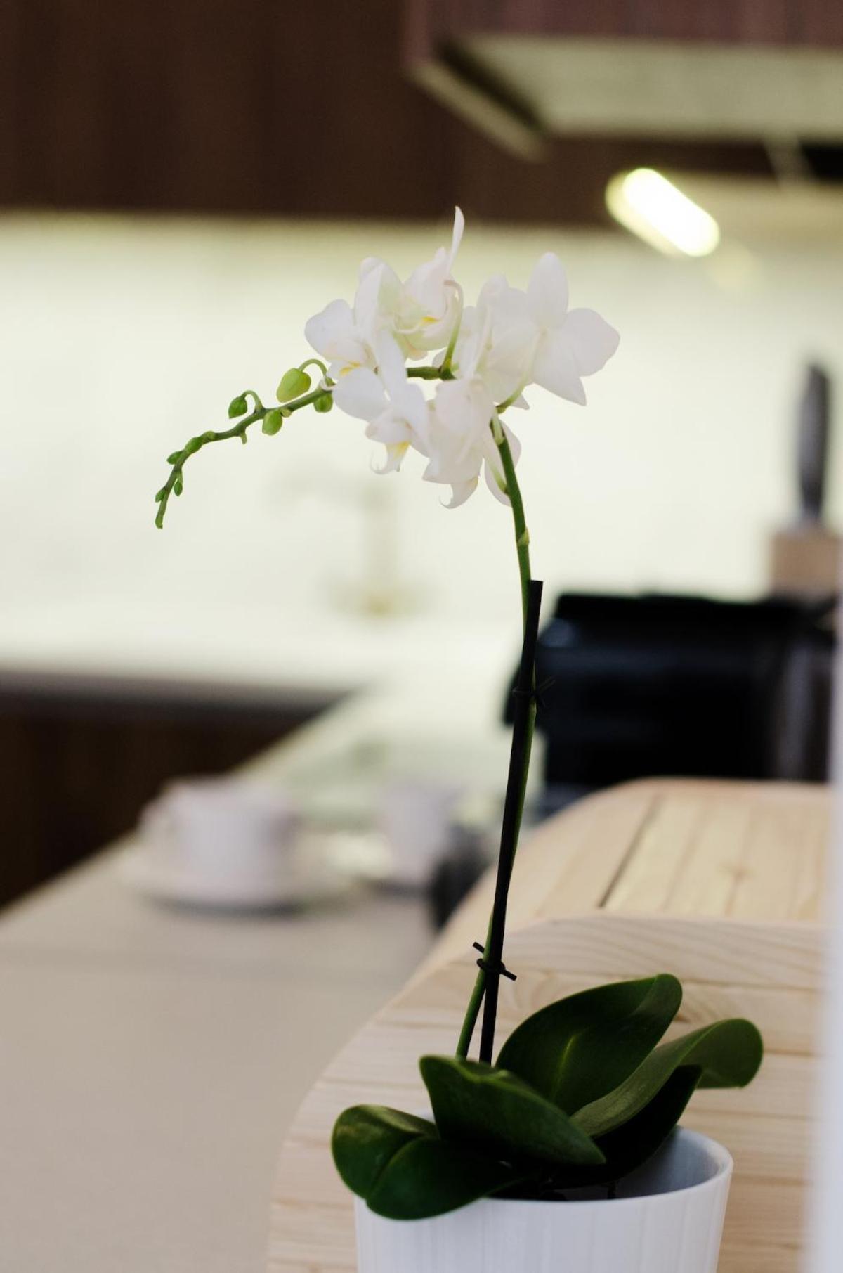 Luxury By Hi5 - Location 3-br Apartamento